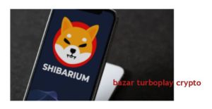 شیبا اینو دوباره وفا داری اش را به طرفدارانش ثابت کرد.