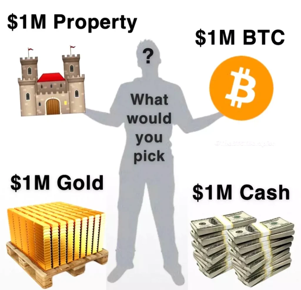 Bitcoin / gold / dollar / real estate?
