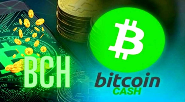 Bitcoin Cash Monthly Analysis
