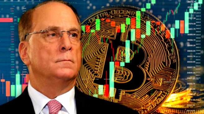BlackRock CEO: Bitcoin can protect assets against inflation.
