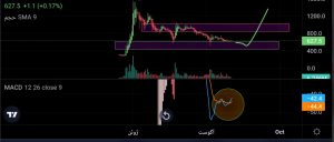 اندیکاتور مکدی روند صعودی را برای ناتکوین نشان می دهد در تایم فریم یک ساعته