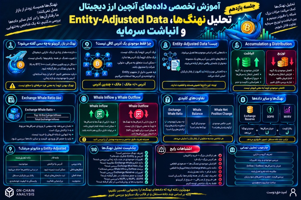 آموزش تخصصی داده‌های آنچین؛ تحلیل نهنگ‌ها، Entity-Adjusted Data و انباشت سرمایه